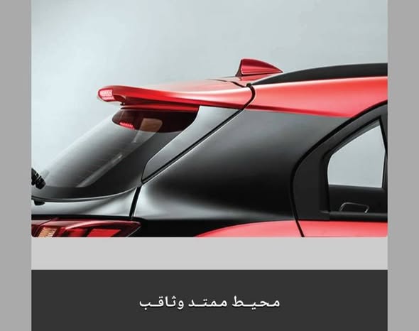 دي اف ام AX4 2020 - صورة 5