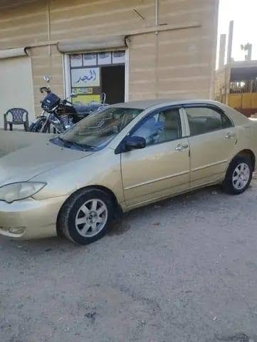 بي واي دي اف 3 2008 - صورة 4