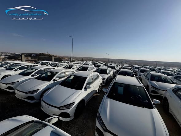 بي واي دي اي 2 2024 - صورة 5