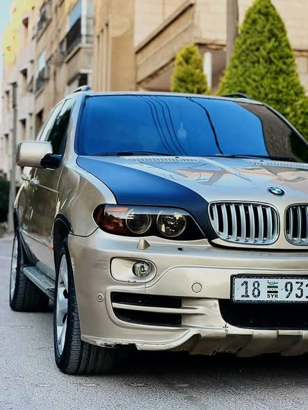 بي إم دبليو X5 2003 - صورة 2