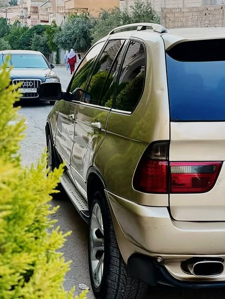 بي إم دبليو X5 2003 - صورة 4