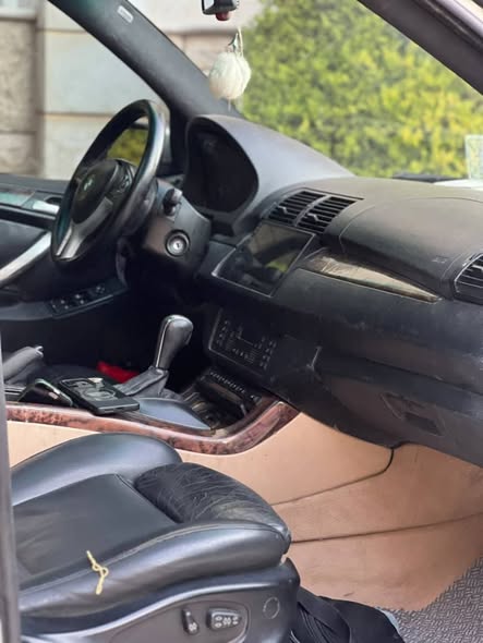 بي إم دبليو اكس 5 2003 - صورة 3