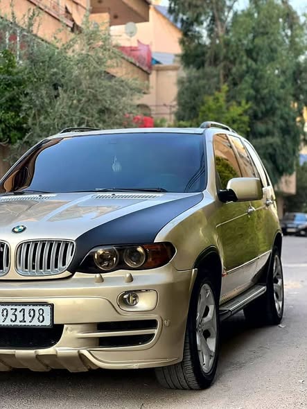 بي إم دبليو اكس 5 2003 - صورة 5