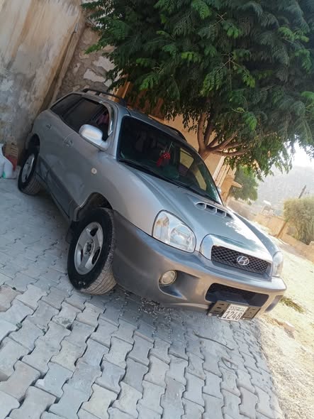 هيونداي سنتافي 2001 - صورة 2