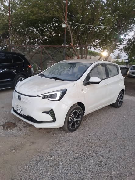 شانجان اي ستار 2024 - صورة 2