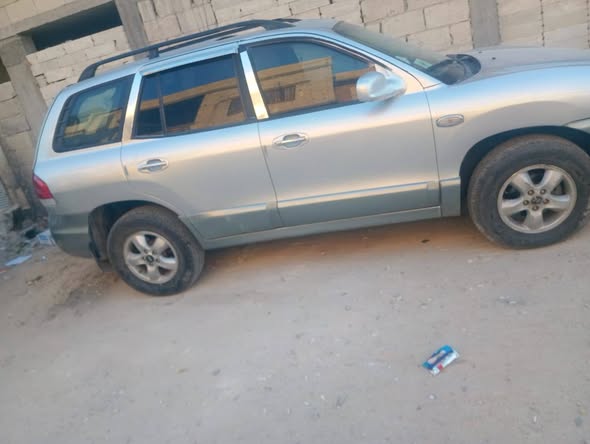 هيونداي سانتافي 2005 - صورة 2