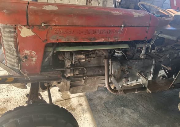ماسي 63 1963 - صورة 3