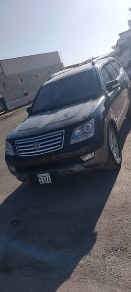 دي اف اس كيه 580 2009 - صورة 1