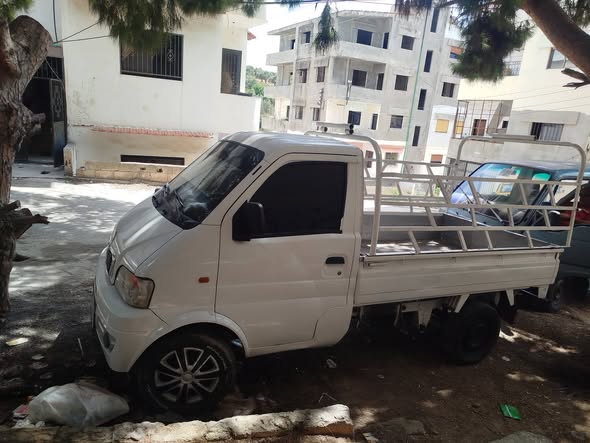 دفن كرت 2009 - صورة 2