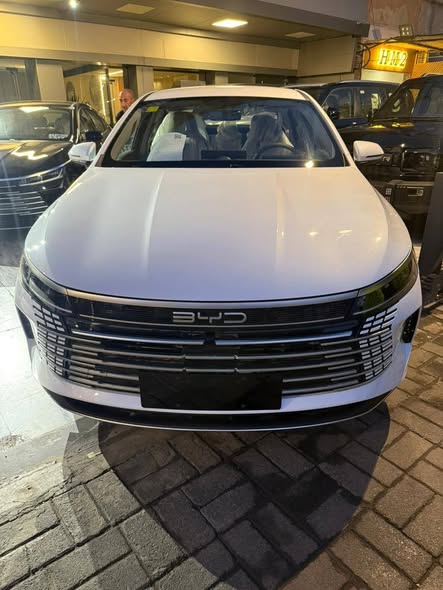 بي واي دي ديستروير 2025 - صورة 1