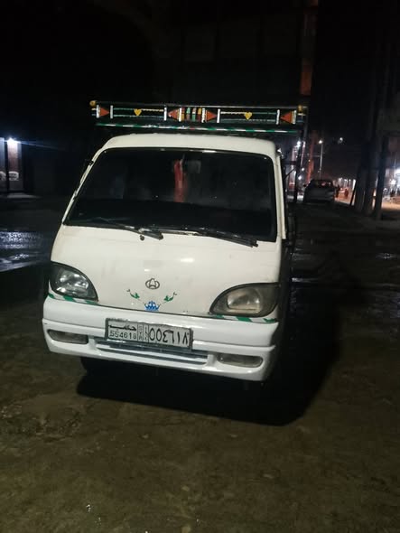 شانا قطة 2008 - صورة 2