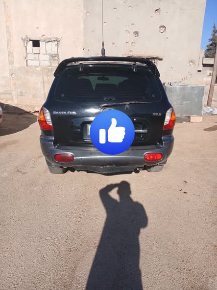 هيونداي سانتا في 2003 - صورة 2