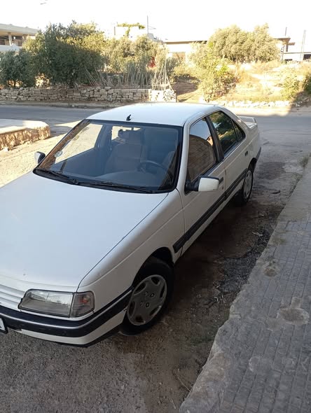 بيجو 405 1993 - صورة 1