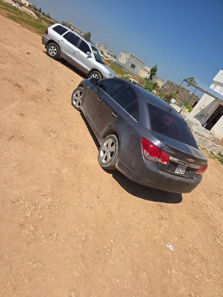 شفر كروز 2011 - صورة 4