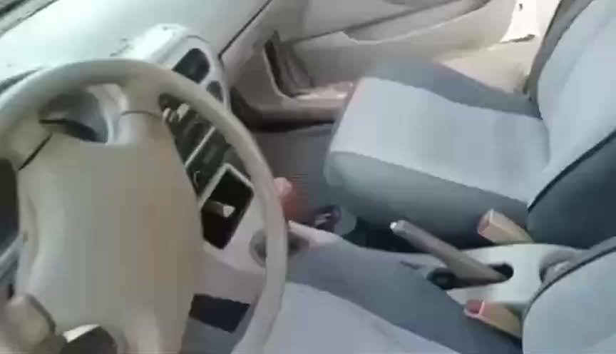 فاو أخرى 2004