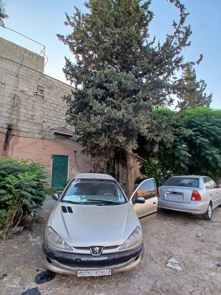بيجو 206 2007 - صورة 5