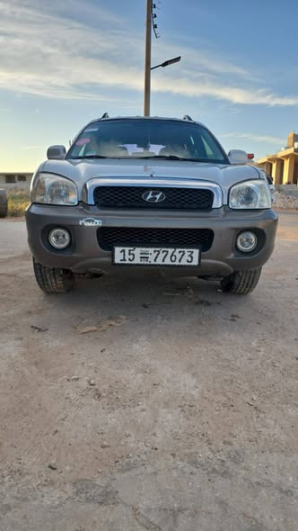 هيونداي سنتافي 2003 - صورة 1