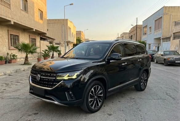 دي أف أم T5L 2020 - صورة 1