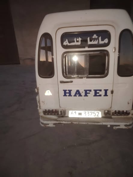 هافي مني 2010 - صورة 5