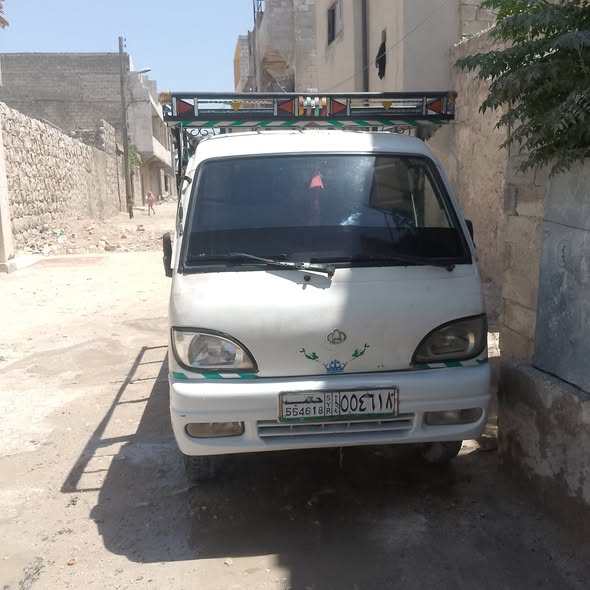 شانا قطة 2008 - صورة 1