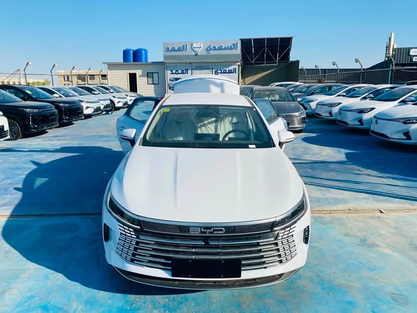 بي واي دي ديستروير 05 2025 - صورة 3