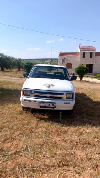 شفر S10 1995 - صورة 2