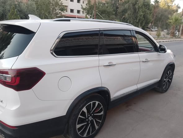 دي اف اس كيه 580 2020 - صورة 4