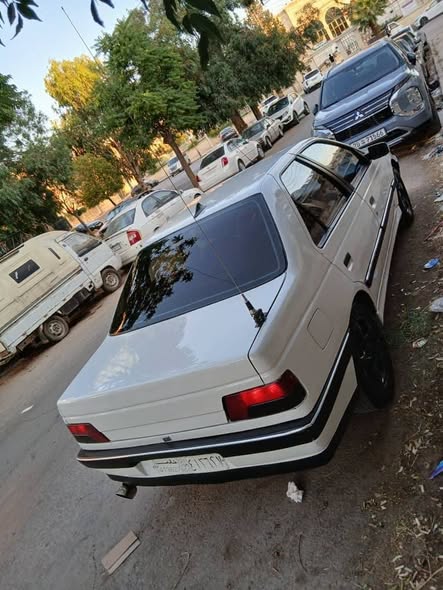 بيجو 405 1993 - صورة 2