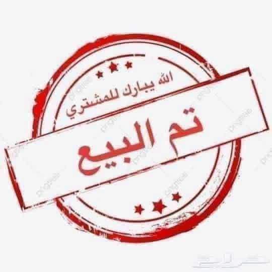 شيري S20 2002 - صورة 1