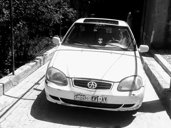 فاو فيتا 2006