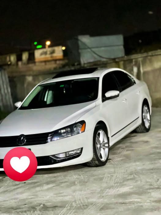 فولكس فاجن باسات 2015 - صورة 1