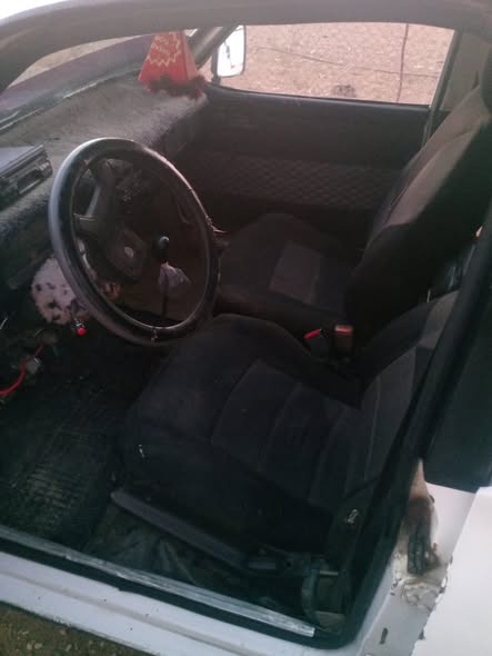 داسيا 1310 1994 - صورة 4