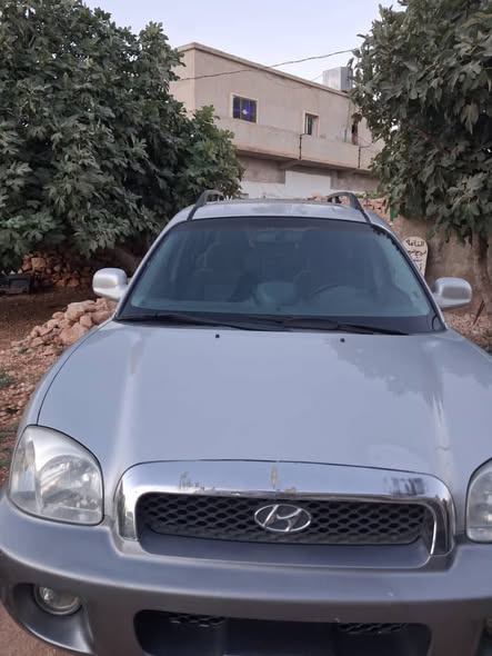 هيونداي سنتافي 2003 - صورة 2