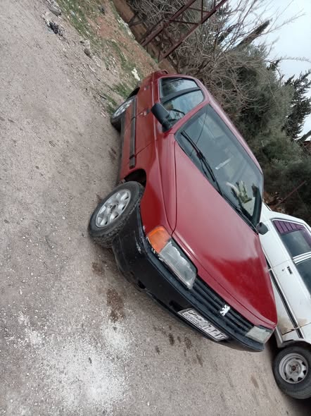 بيجو 405 1993 - صورة 3