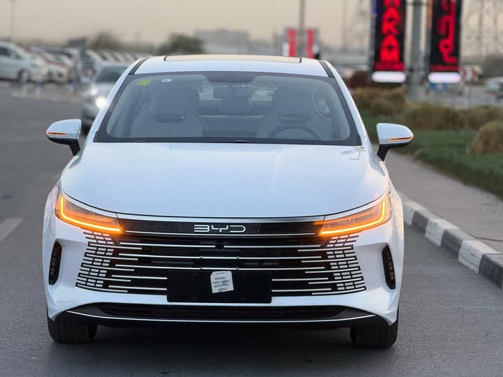 بي واي دي كينغ بلس 2024