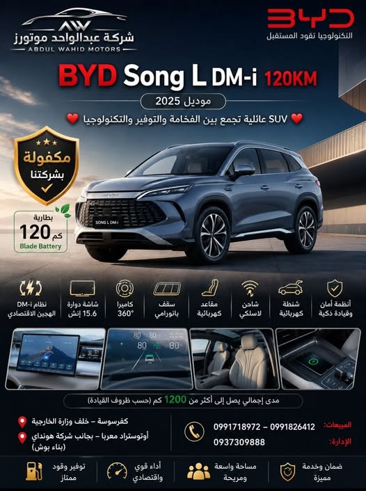 بي واي دي سونغ إل 2025