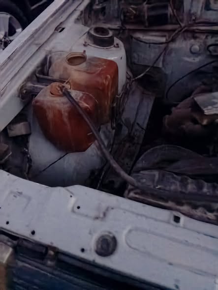 لانسر لانسر 1983 - صورة 2