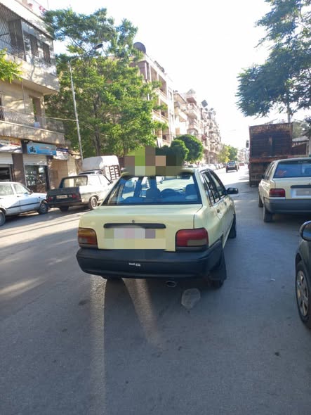 سايبا سابا 2010 - صورة 2
