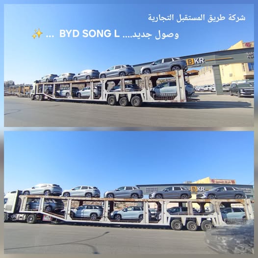 بي واي دي سونغ إل 2025