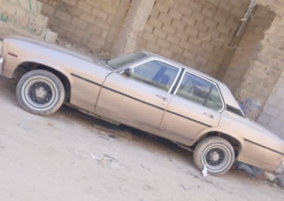 سكودا بيك أب 1983 - صورة 1