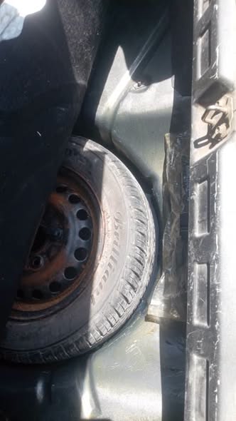 سايبا 131 2020 - صورة 4