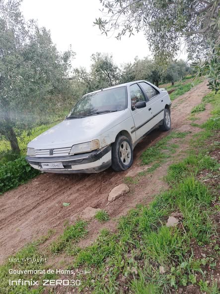 بيجو 405 1993 - صورة 2