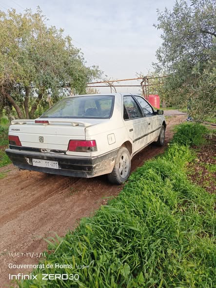 بيجو 405 1993 - صورة 3