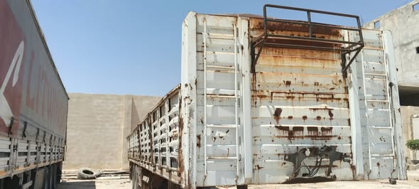 اورفلي تريلا 2011 - صورة 2