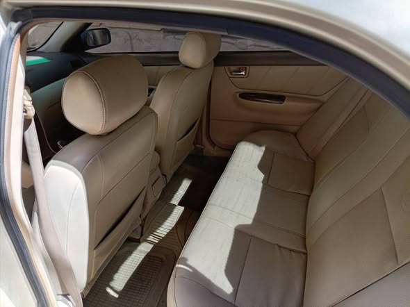 بي واي دي اف 3 2008 - صورة 3