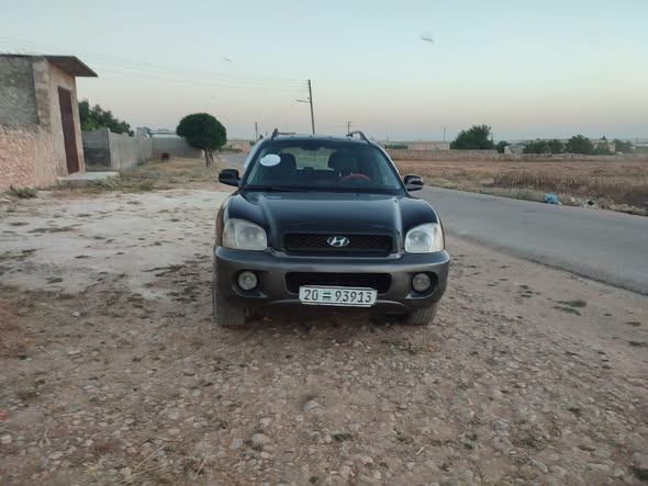 هيونداي سانتافي 2005 - صورة 1