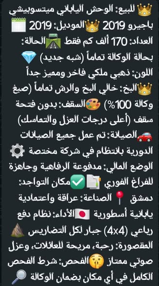 ميتسوبيشي باجيرو 2019 - صورة 1
