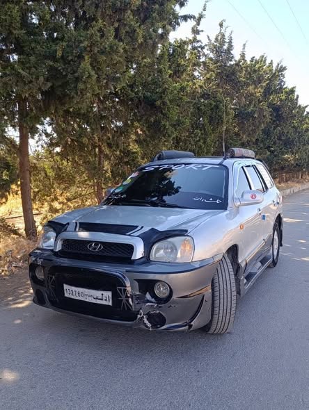 هيونداي سنتافي 2003 - صورة 2