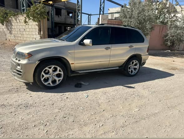 بي إم دبليو اكس 5 2003 - صورة 3