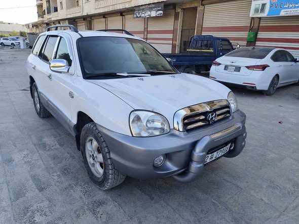 هيونداي سنتافي 2005 - صورة 3